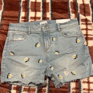 Loft shorts NWT